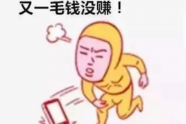 西沙债务清欠服务